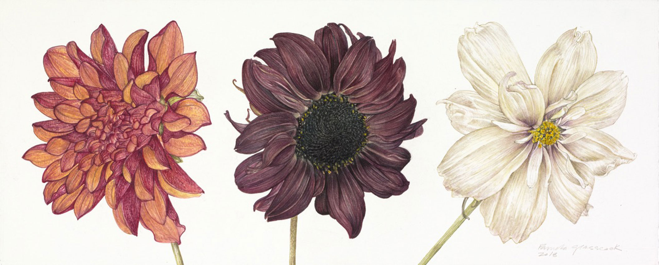 Pamela Glasscock Pamela Glasscock SK Gallery and Studio Gualala